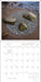 Sculpt the World 2027 Wall Calendar