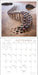 Sculpt the World 2027 Wall Calendar