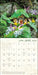 Fairy Houses 2027 Wall Calendar