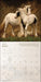 Spirit Horses 2027 Wall Calendar by Tony Stromberg