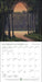 Forest Meditations 2027 Wall Calendar