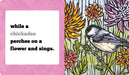 Molly Hashimoto's Birds! Season by Season Board Book