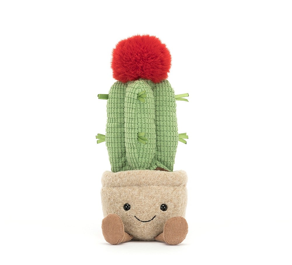Jellycat Amuseable Moon Cactus    