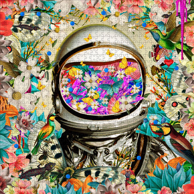 Astronaut 1000 Piece David Krovblit Puzzle