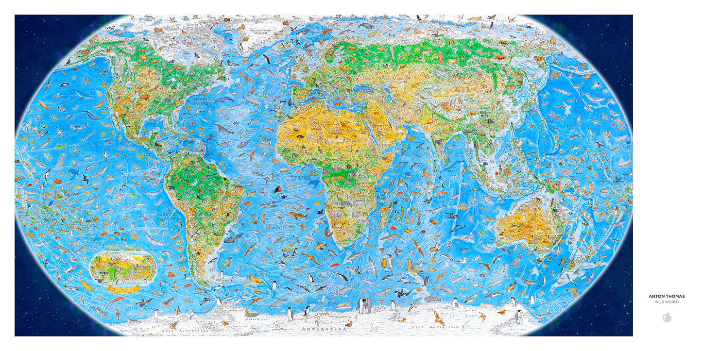 Anton Thomas Wild World 1500 Piece Puzzle