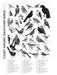 Casey Girard: Backyard Birds 1000-Piece Jigsaw Puzzle