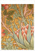 William Morris Arts & Crafts Designs Book of Postcards
