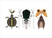 Charley Harper The Animal Kingdom Book of Postcards