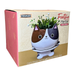 STRM Cat's Meow Planter