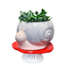 STRM Snail and Mushroom Planter