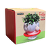 STRM Snail and Mushroom Planter