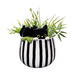 STRM Peek-A-Boo Kitty Planter