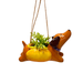 STRM Mini Hanging Planter - Hot Dogs (Single) - Random Color