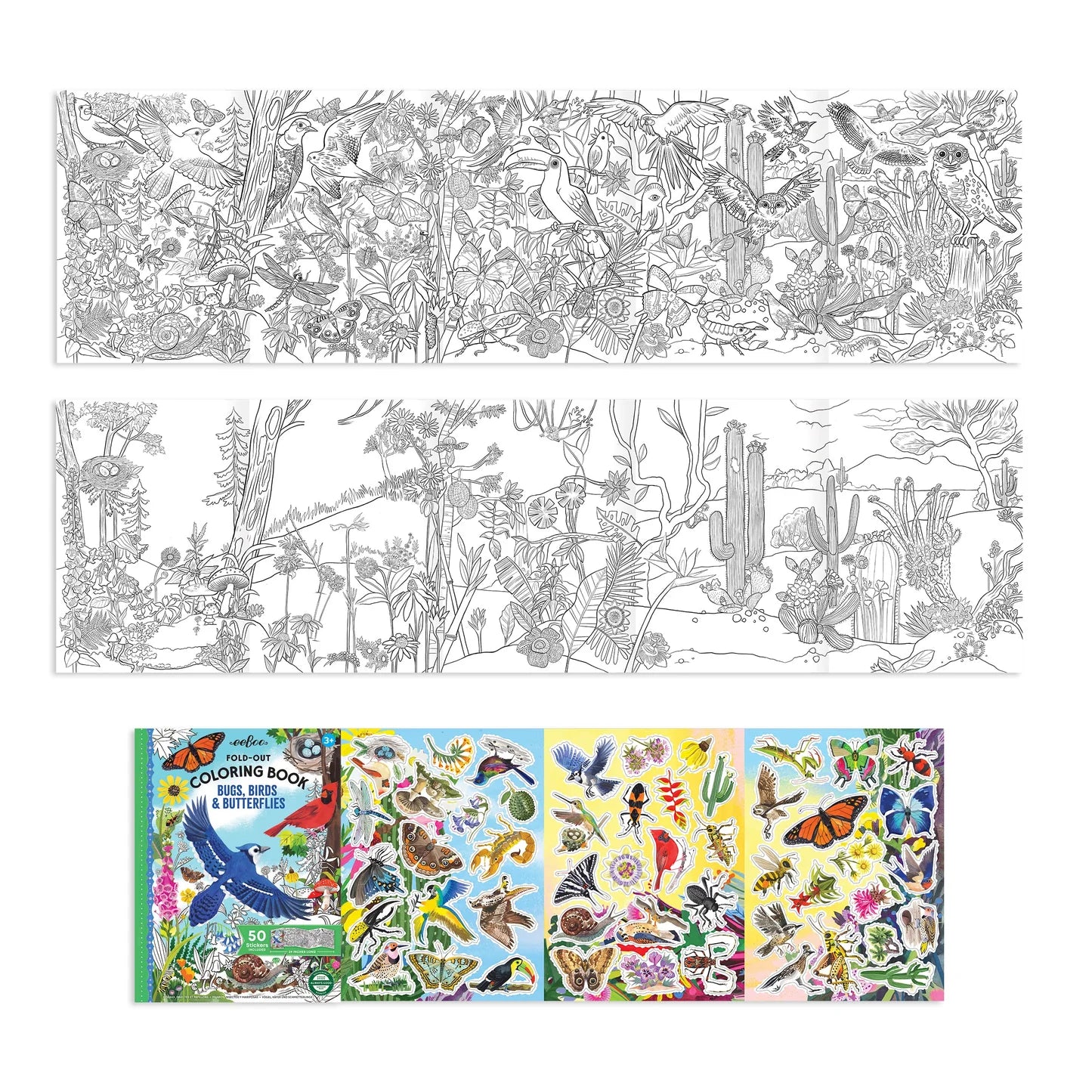Bugs, Birds, & Butterflies Fold Out Coloring Book