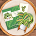 FRCC Mini Prayer Plant