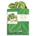 FRCC Mini Prayer Plant
