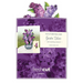 FRCC Mini Garden Lilacs