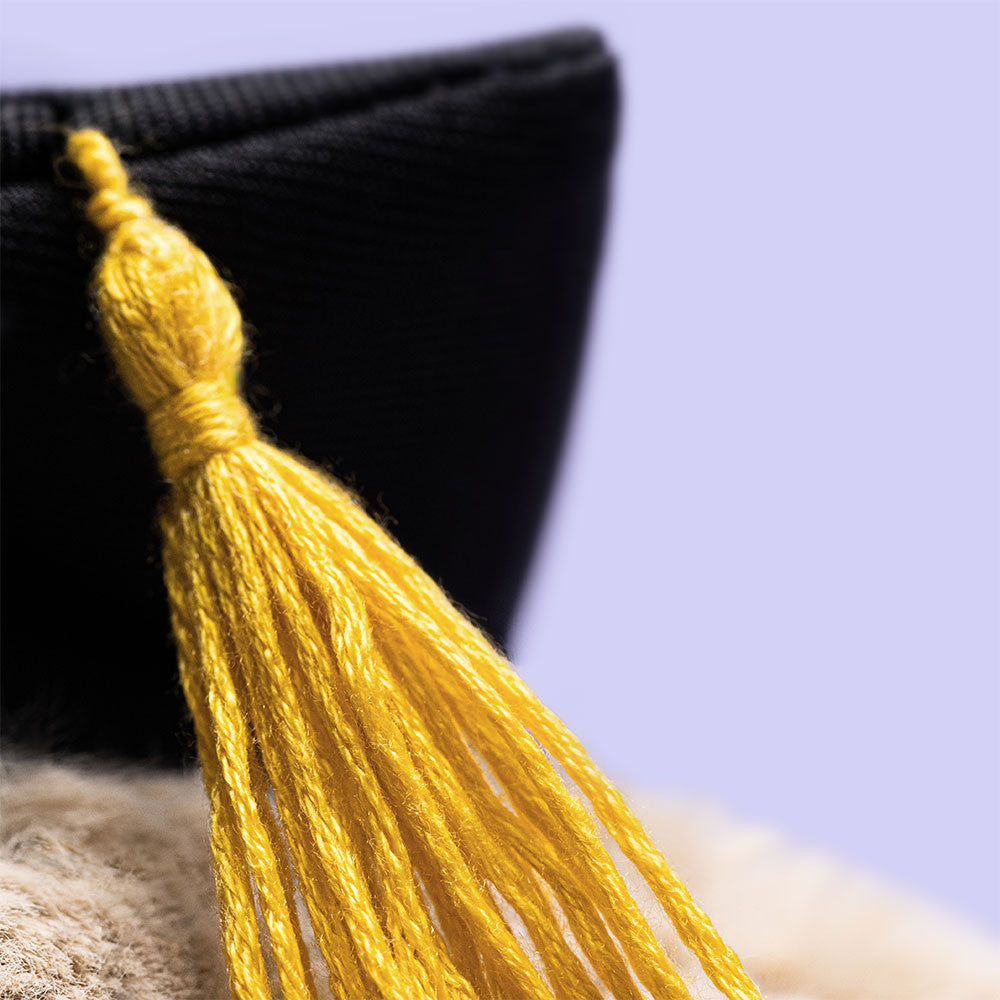 Jellycat Bashful Bunny With Graduation Outfit
