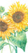 Mirasol White Hostess Napkins    