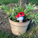 STRM Mushroom Watering Spikes (Single) - Random Color