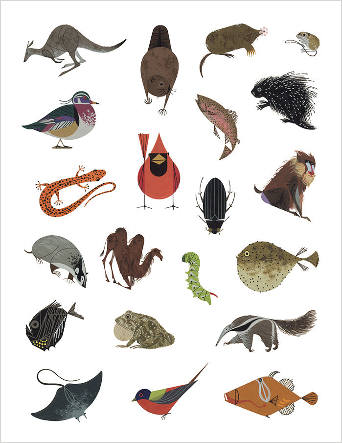 Charley Harper Tree of Life Sticker Book