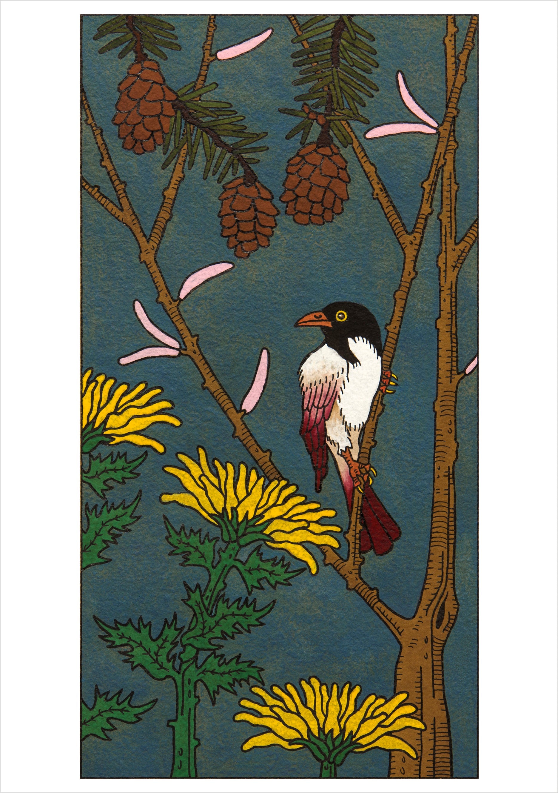 CJ Hurley Birds - Boxed Assorted Note Cards    