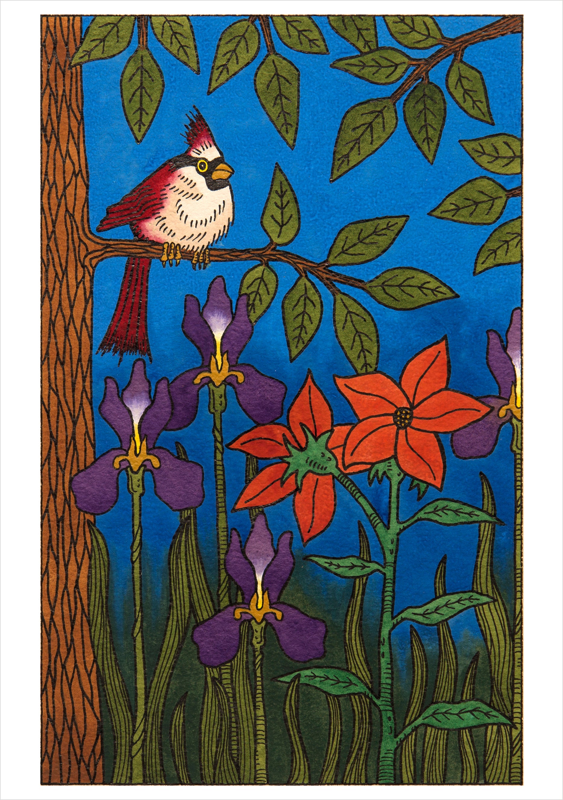 CJ Hurley Birds - Boxed Assorted Note Cards    