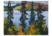 Lawrens S. Harris - Assorted Boxed Note Cards    