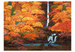 Hiroo Isono Enchanted Forests - Boxed Assorted Note Cards    