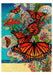 David Galchutt Celebration Boxed Assorted Note Cards    