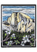 Molly Hashimoto Wildflowers Boxed Assorted Note Cards