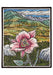 Molly Hashimoto Wildflowers Boxed Assorted Note Cards