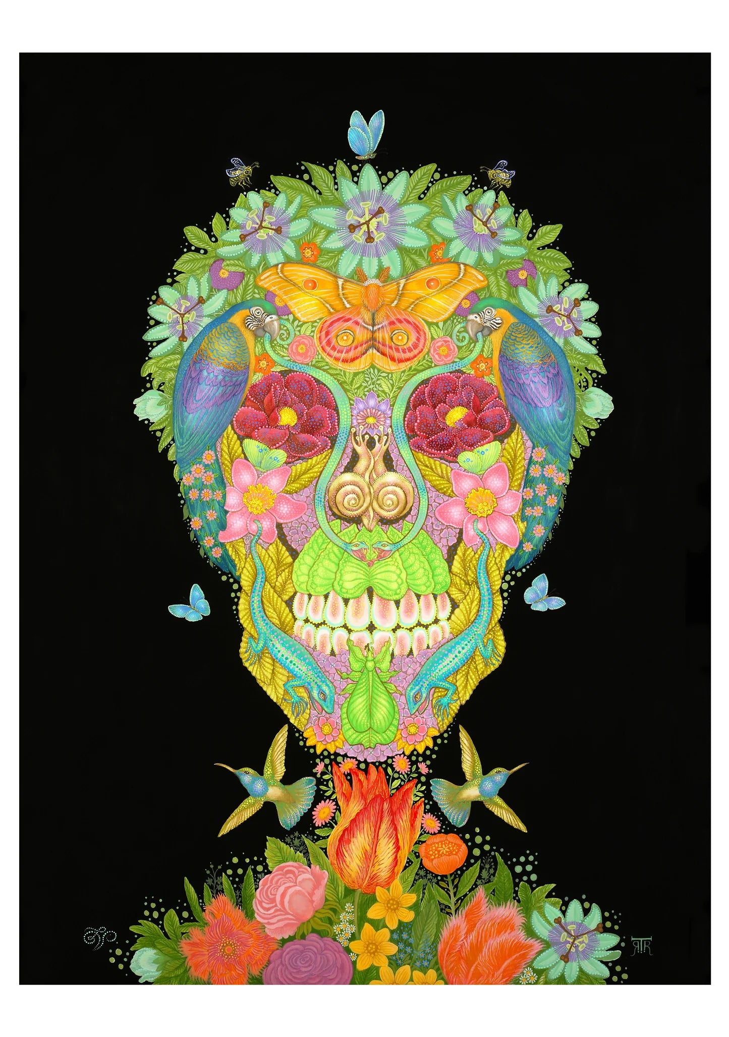 POM Day of the Dead: Tino Rodriguez & Virgo Paraiso Boxed Notecard Assortment