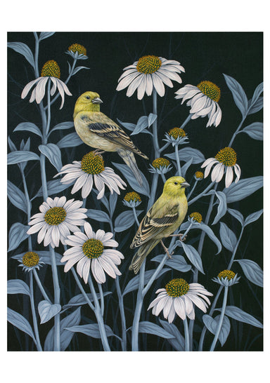 Vasilisa Romanenko: Birds of A Feather Boxed Assorted Note Cards