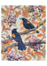 Vasilisa Romanenko: Birds of A Feather Boxed Assorted Note Cards