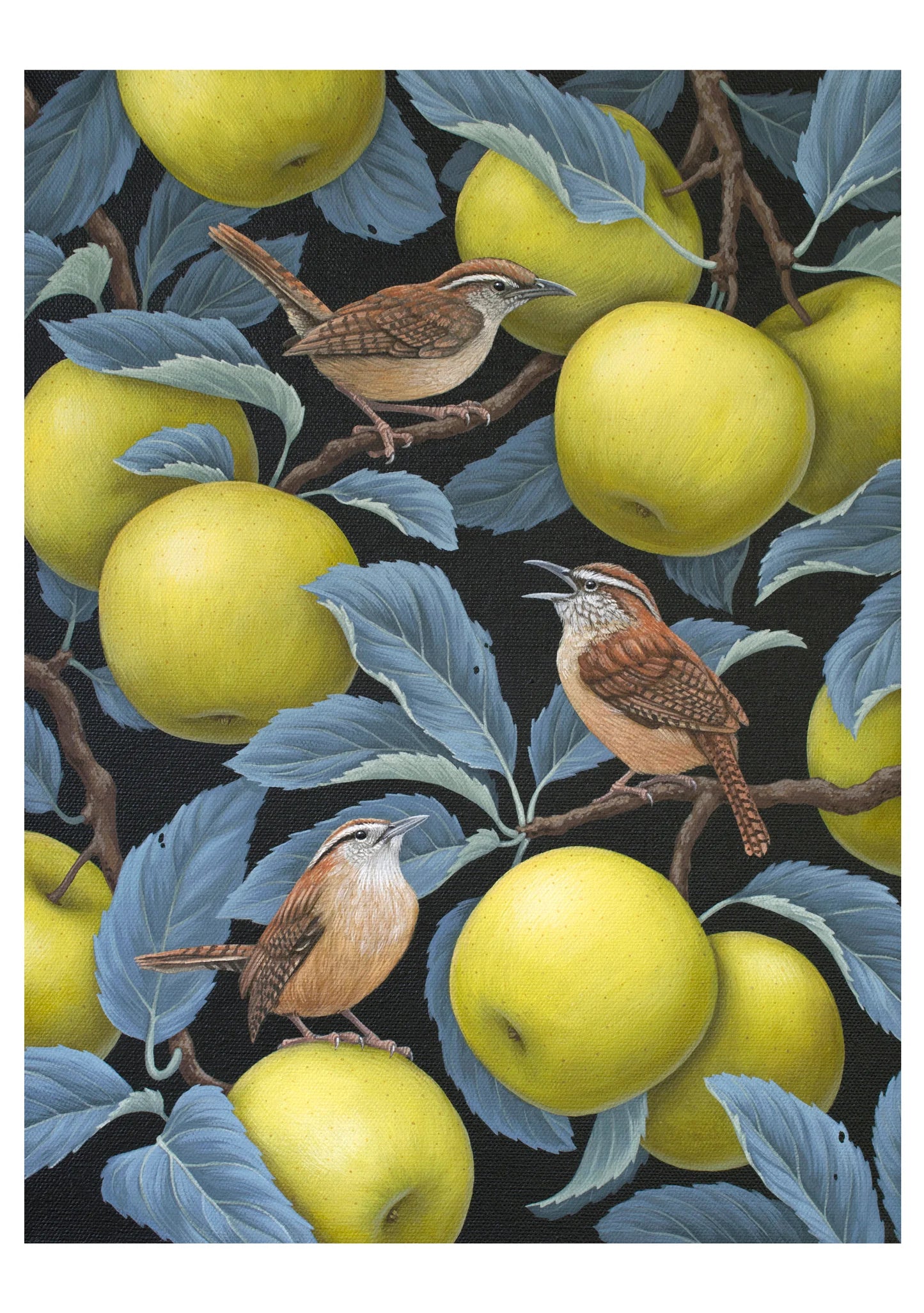 Vasilisa Romanenko: Birds of A Feather Boxed Assorted Note Cards