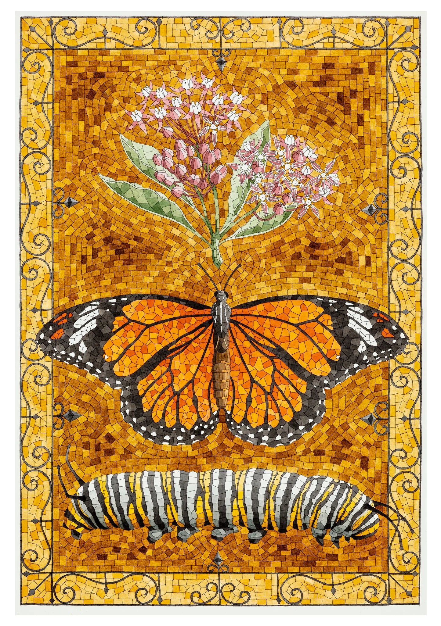 David Cohen Butterflies Boxed Assorted Note Cards