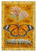 David Cohen Butterflies Boxed Assorted Note Cards