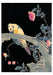 POM Itō Jakuchū Boxed Notecard Assortment