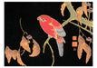 POM Itō Jakuchū Boxed Notecard Assortment