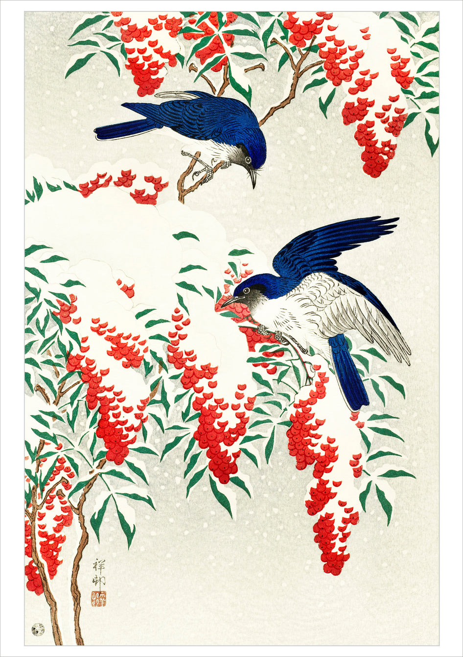 Ohara Loson (Shoson) Flycatchers In Snow Boxed Holiday Cards    