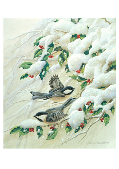 John A. Ruthven Black-Capped Chickadees Boxed Holiday Cards    