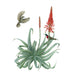 POM Erin E. Hunter: Pollinators 2027 Wall Calendar