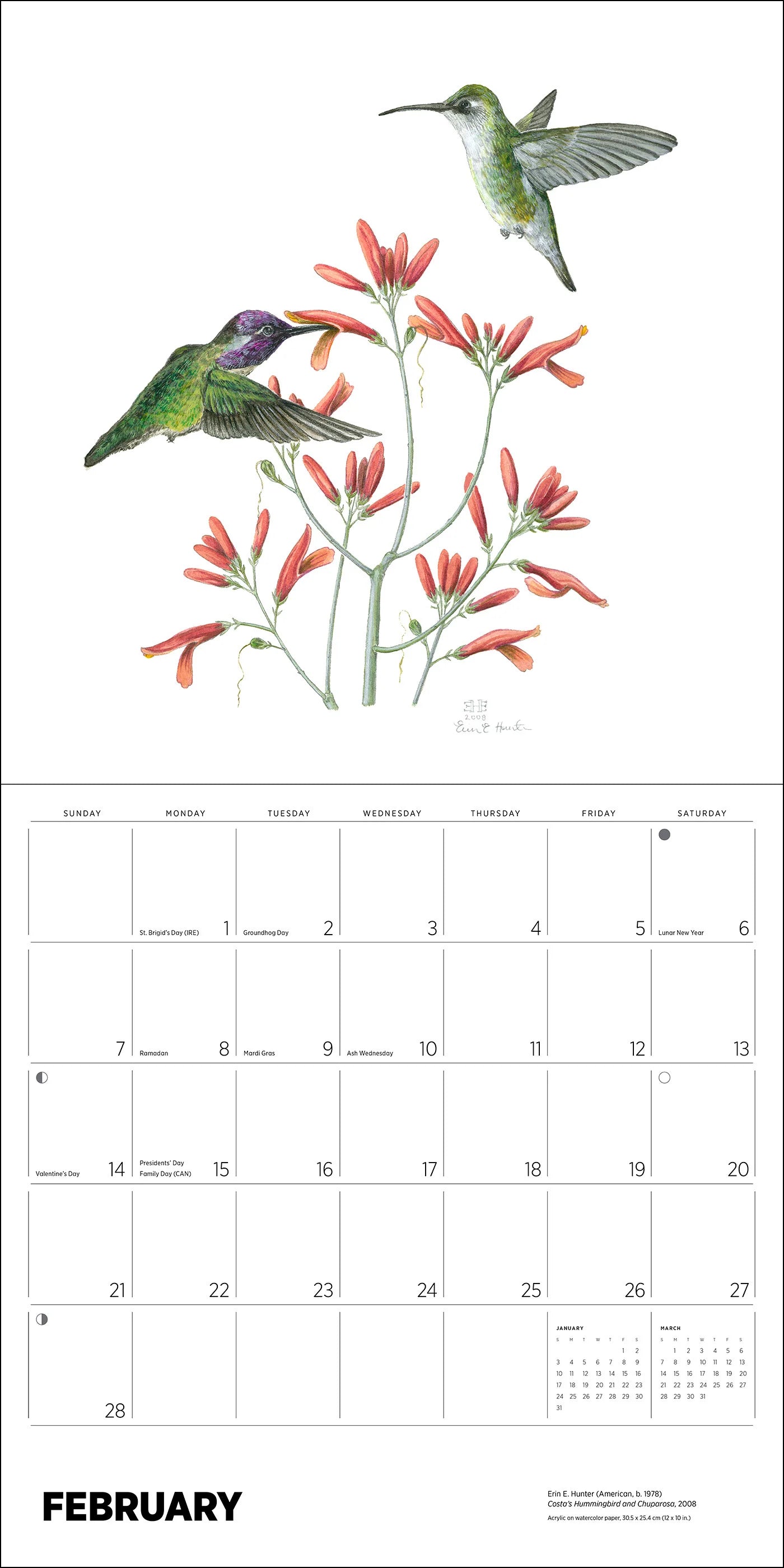 POM Erin E. Hunter: Pollinators 2027 Wall Calendar