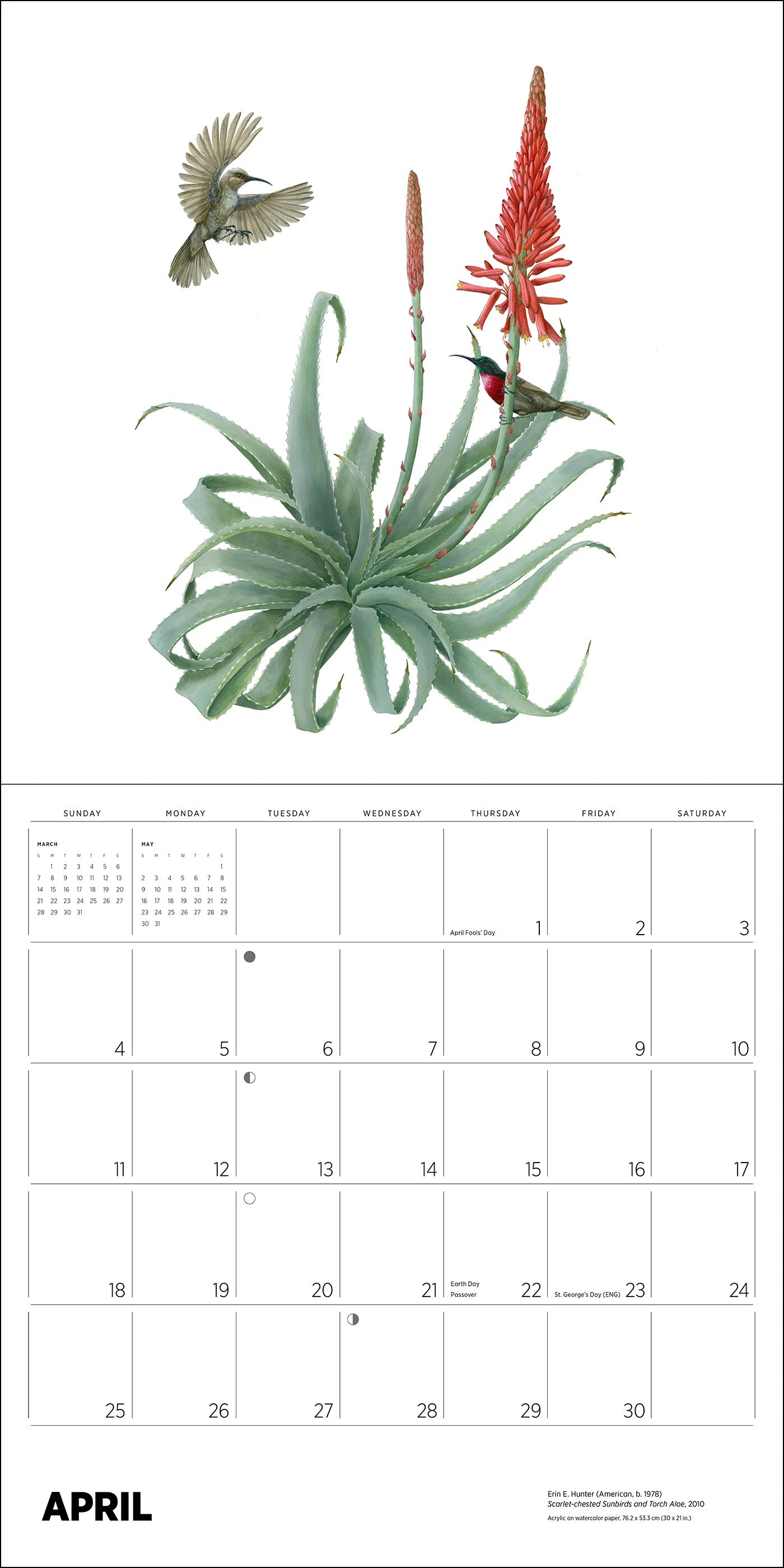POM Erin E. Hunter: Pollinators 2027 Wall Calendar