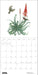 POM Erin E. Hunter: Pollinators 2027 Wall Calendar