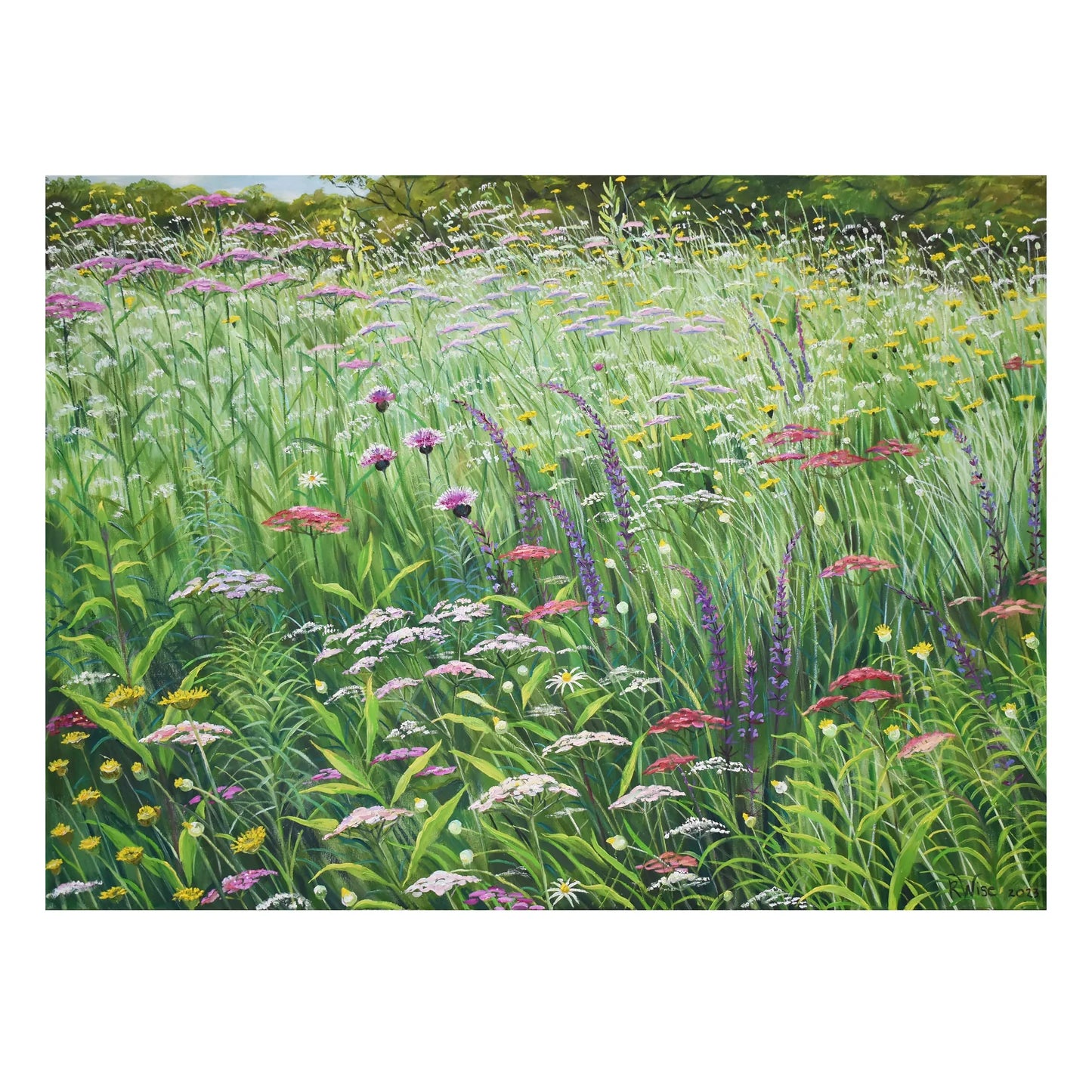 POM Rosalind Wise 2027 Wall Calendar