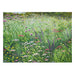 POM Rosalind Wise 2027 Wall Calendar