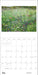 POM Rosalind Wise 2027 Wall Calendar