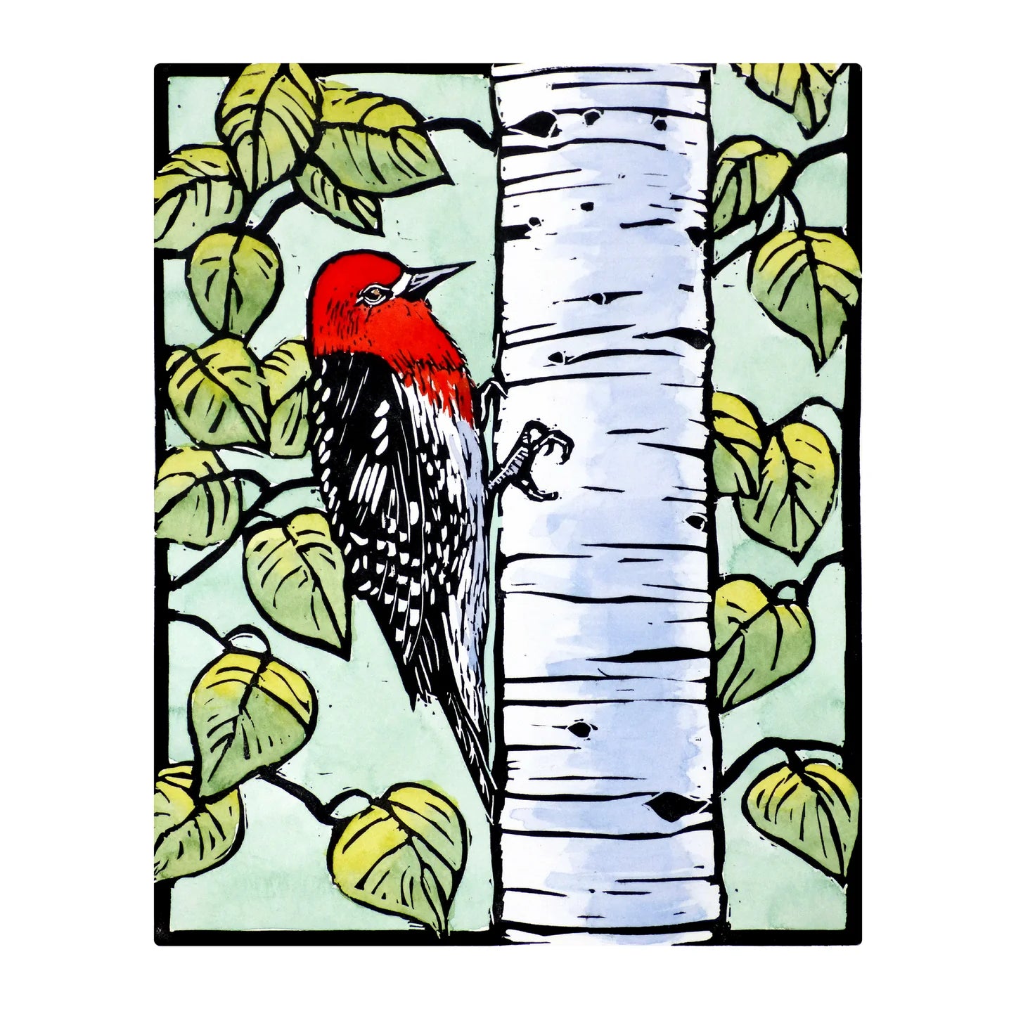 POM Molly Hashimoto: Birds 2027 Wall Calendar